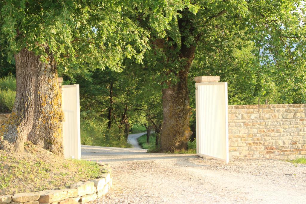 Amico Country House Serra San Quirico Extérieur photo
