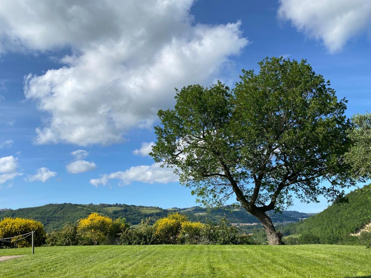 Amico Country House Serra San Quirico Extérieur photo